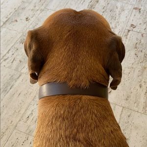 Meet your Posher, Gina